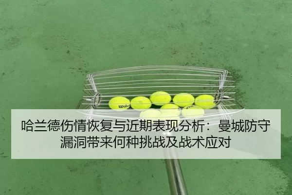 ha-lan-de-shang-qing-hui-fu-yu-jin-qi-biao-xian-fen-xi-man-cheng-fang-shou-lou-dong-dai-lai-he-zhong-tiao-zhan-ji-zhan-2-792.jpg